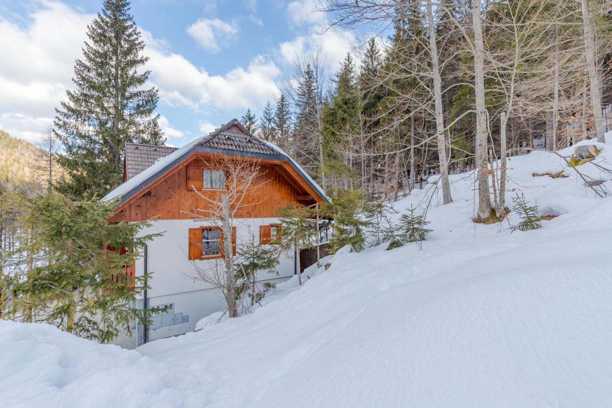 Alpine Retreat Gaja Kranjska Gora - Happy Rentals Exterior photo